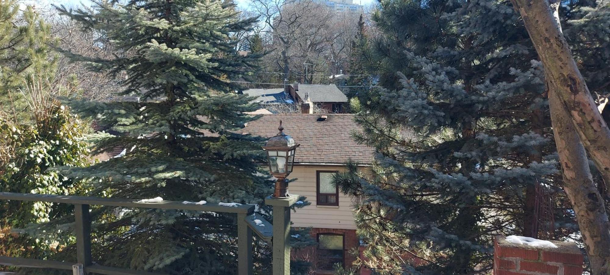 High Park Single Room With Personal Washroom And Kitchen Торонто Экстерьер фото